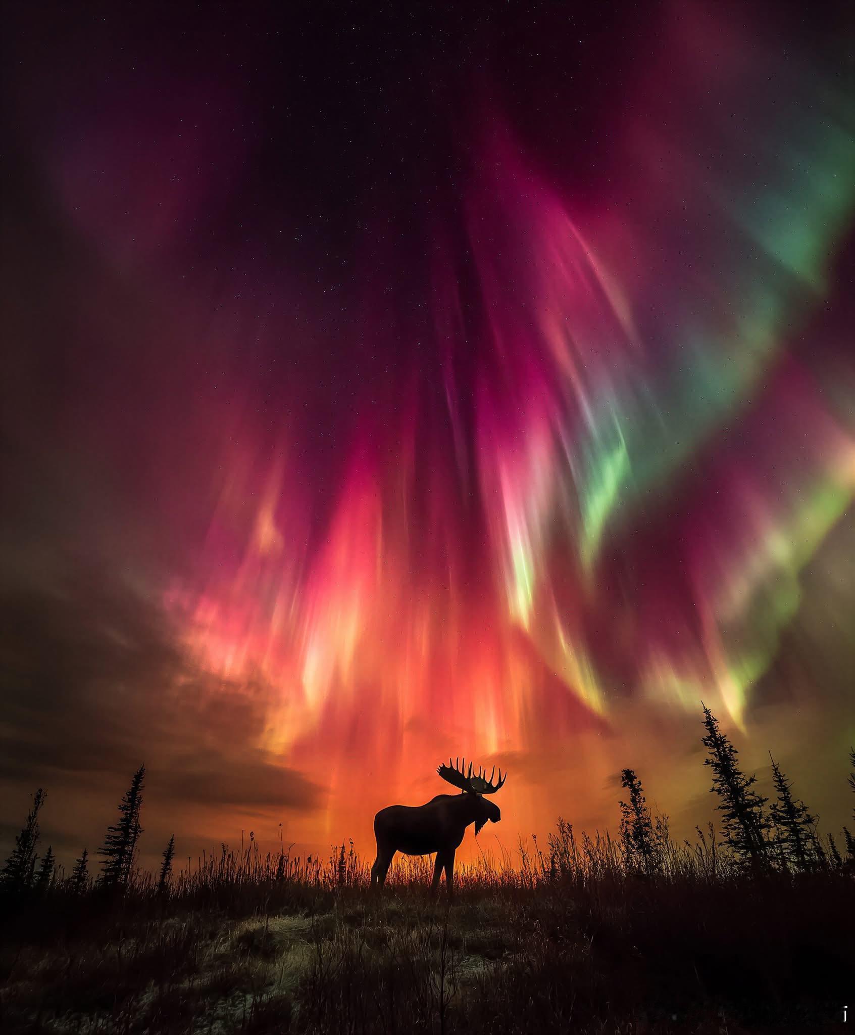 这才是梦中最完美的极光！ 