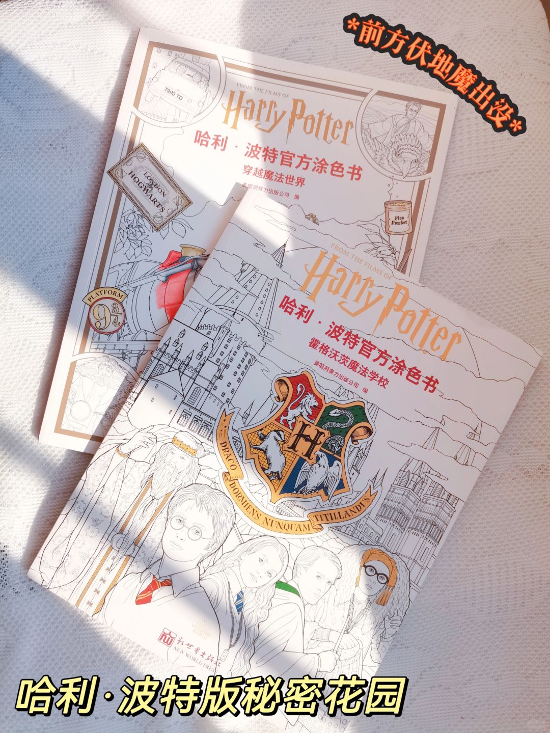 超解压！不愧是哈利波特版的秘密花团～