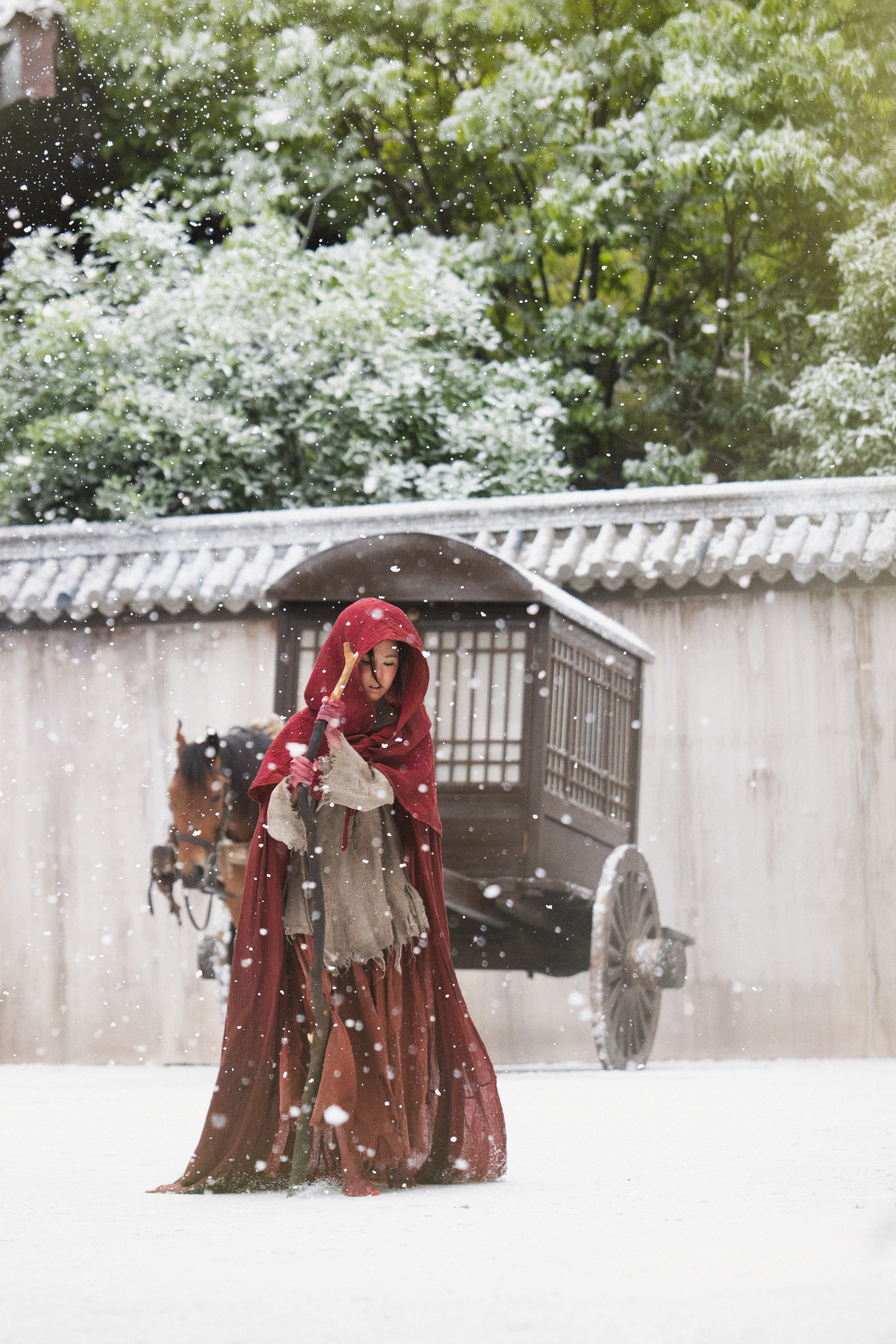 陈都灵[超话] 📸庄寒雁过留痕 【雁影时刻】飘雪沾红衣，伴雁归家路。陈都灵庄寒