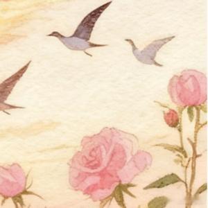 情感语录 愿你被温柔以待，生活皆如所愿生活就像一片长满荆棘的森林🌿但你看——总