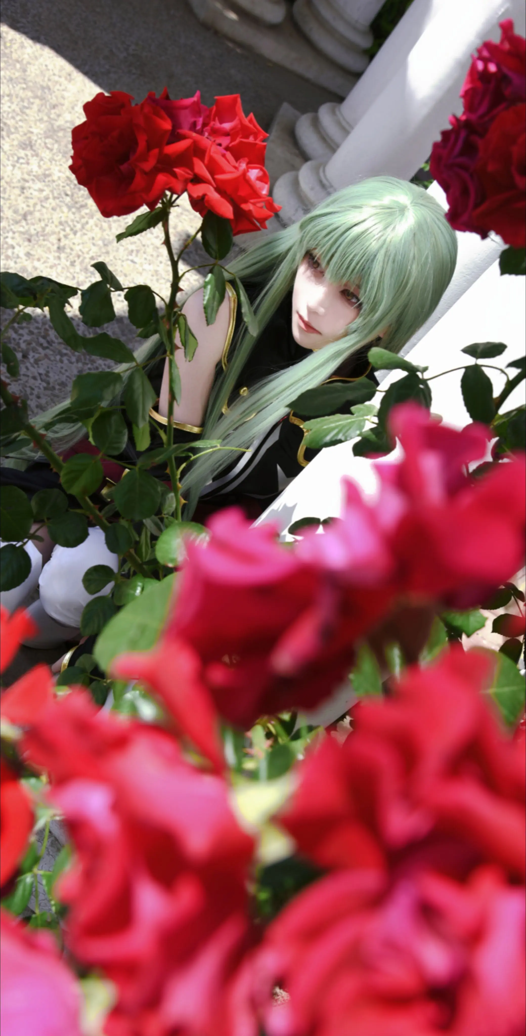 很适合cc的🥀。