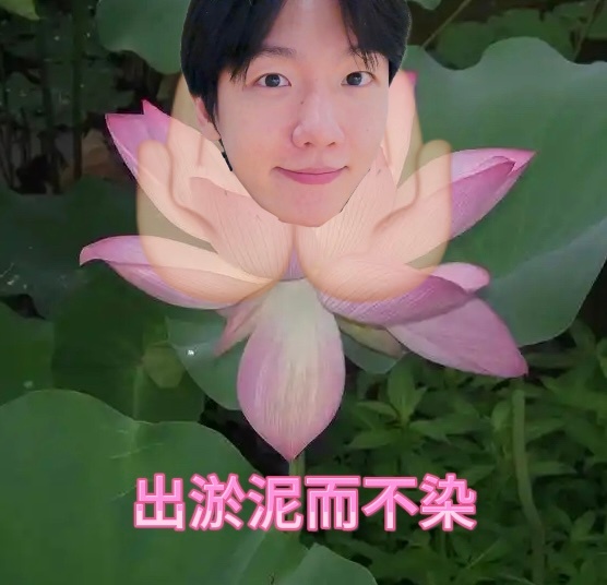 我宝宝🤲 