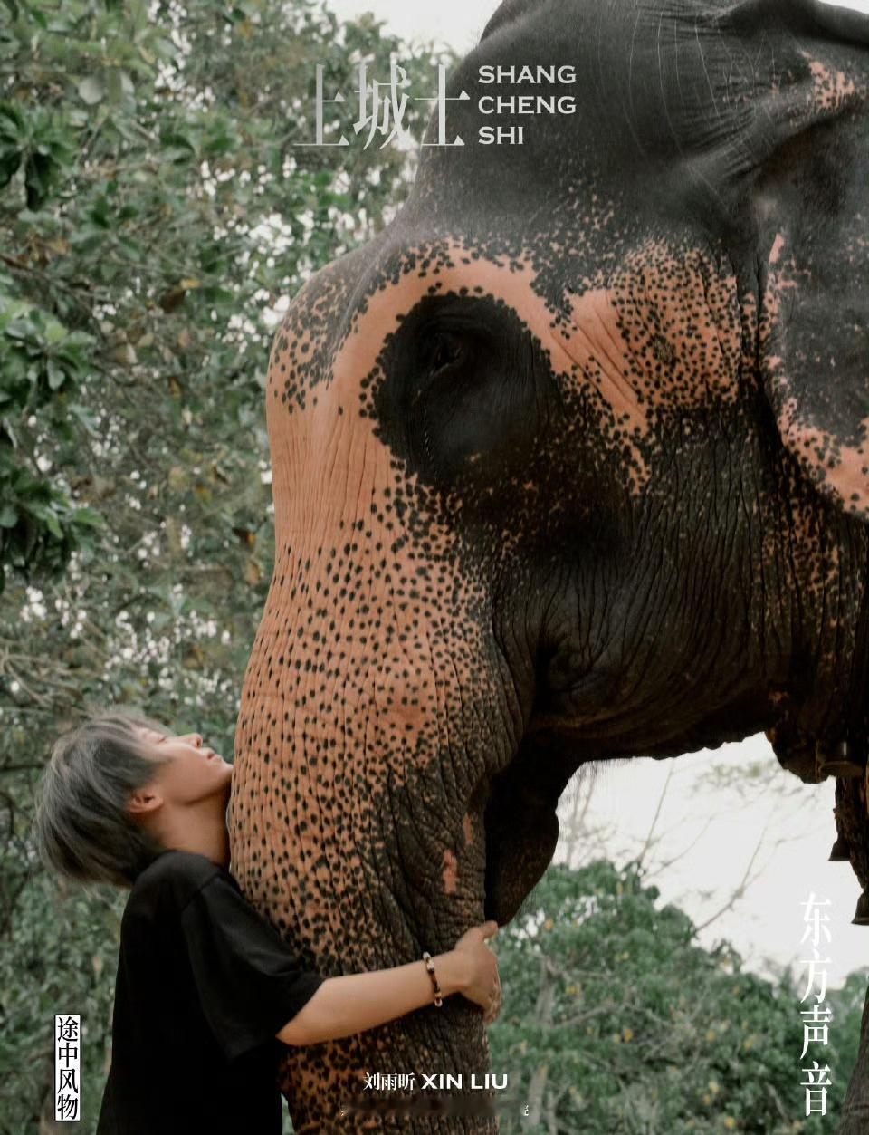 刘雨昕上城士3月封面，在斯里兰卡拍摄的耶，又看到了不一样的小刘姐