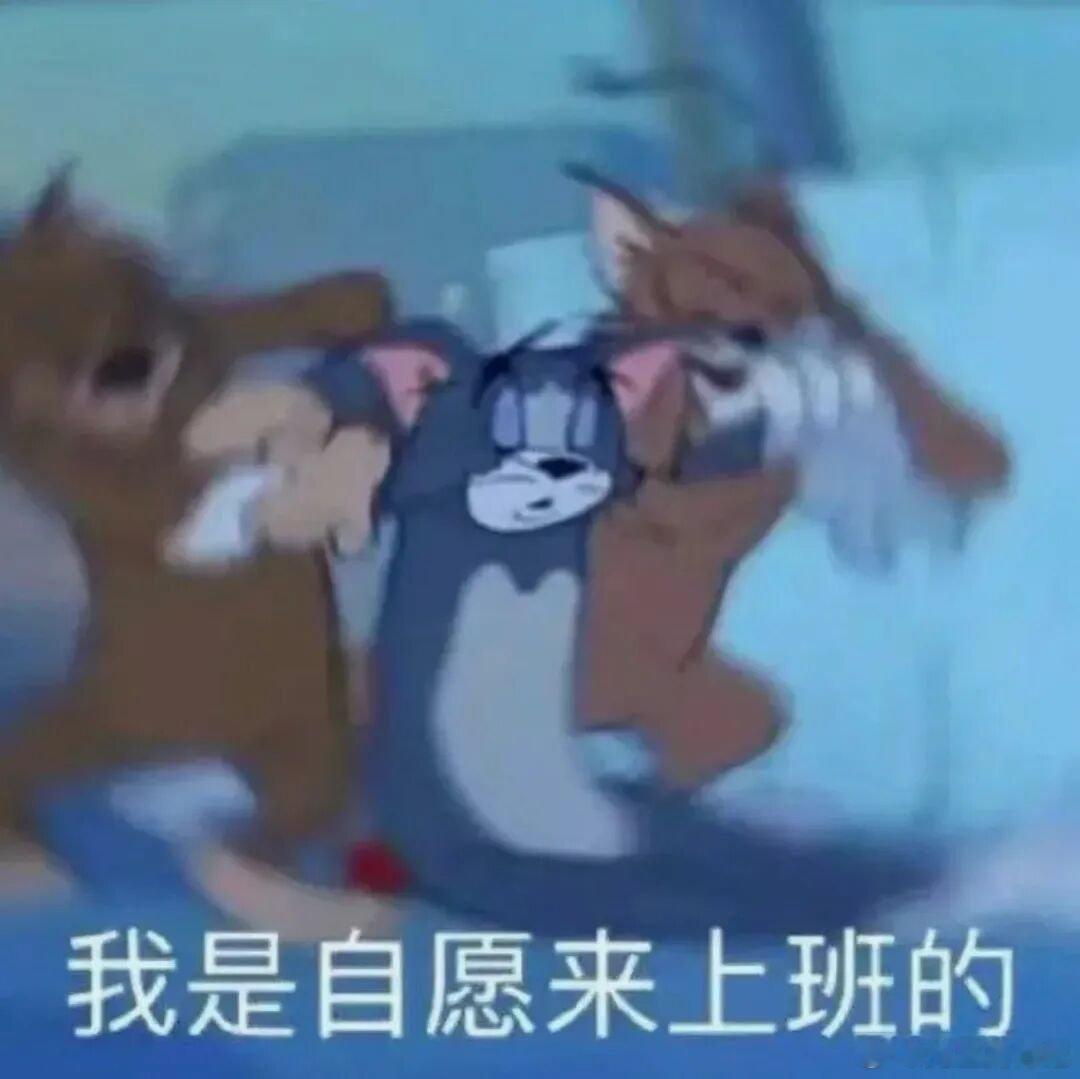 𝙒𝙚𝘾𝙝𝙖𝙩 表情包 | 打工人表情包 | 抽象表情包 中式骗局：“