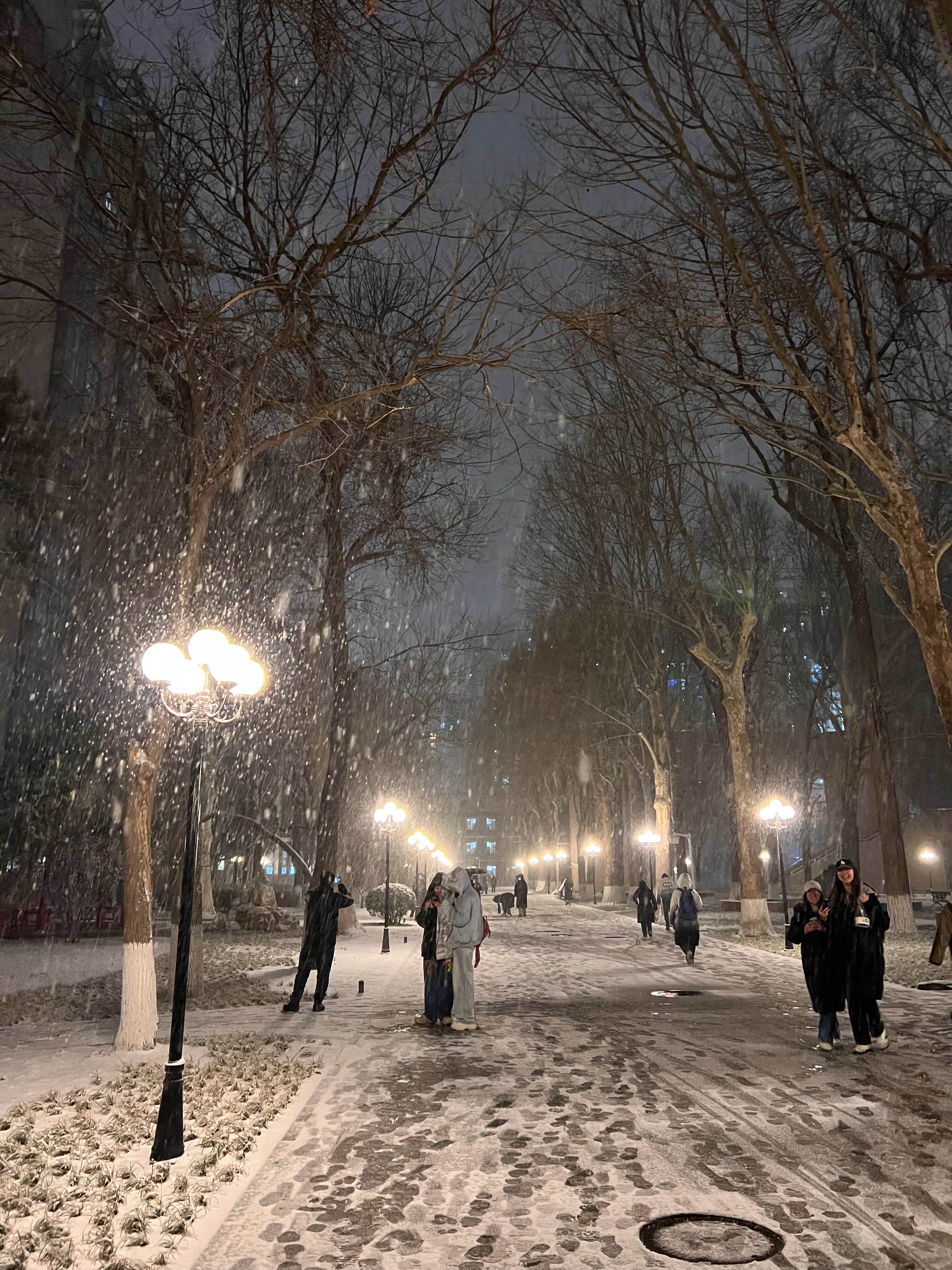 居然下了一整天的雪 
