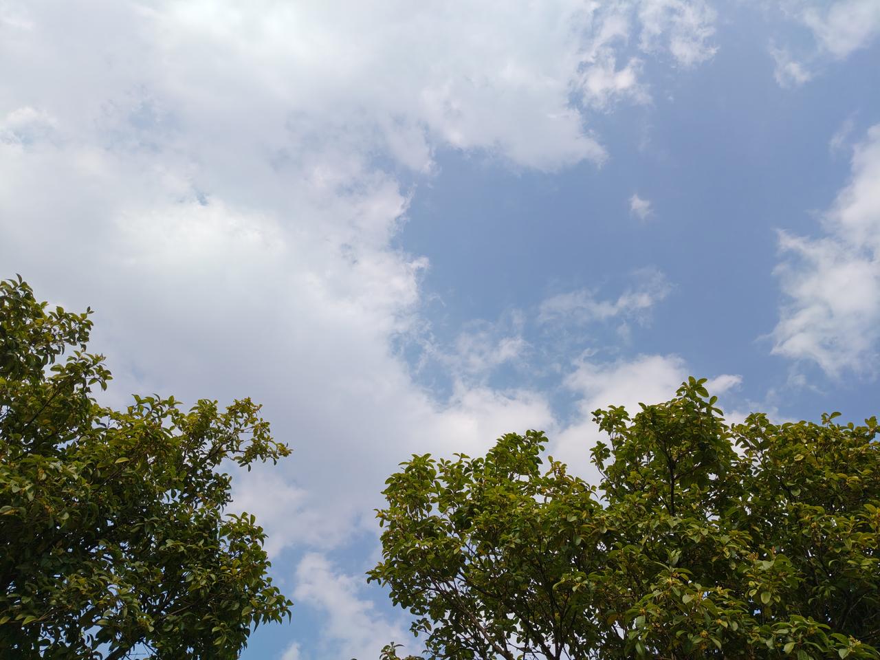 2026年，我觉得是投机之年，各种大宗商品涨价，有色大涨，能源大涨，特别适合高抛