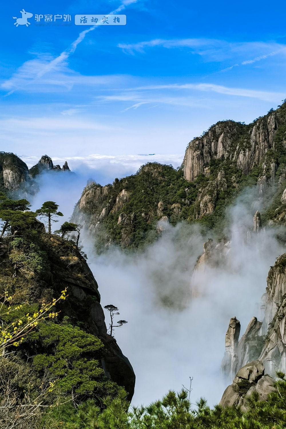 黄山云海分享前一秒还在爬台阶累成狗，翻过山脊直接瞳孔地震！松树像抹茶冰淇淋插在云