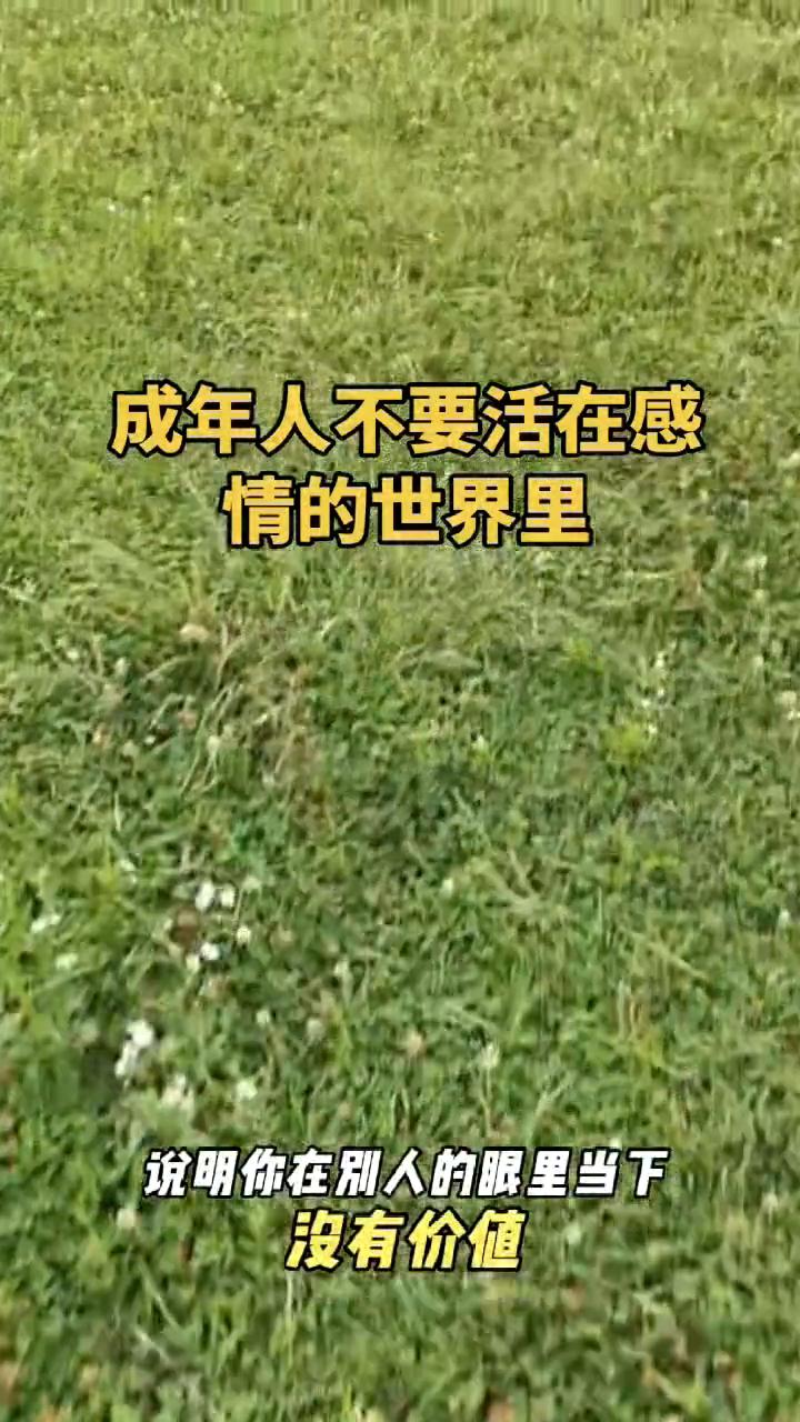 成年人不要活在感情的世界里。
没有人主动联系你，说明你在别人的眼里当下没有价值。