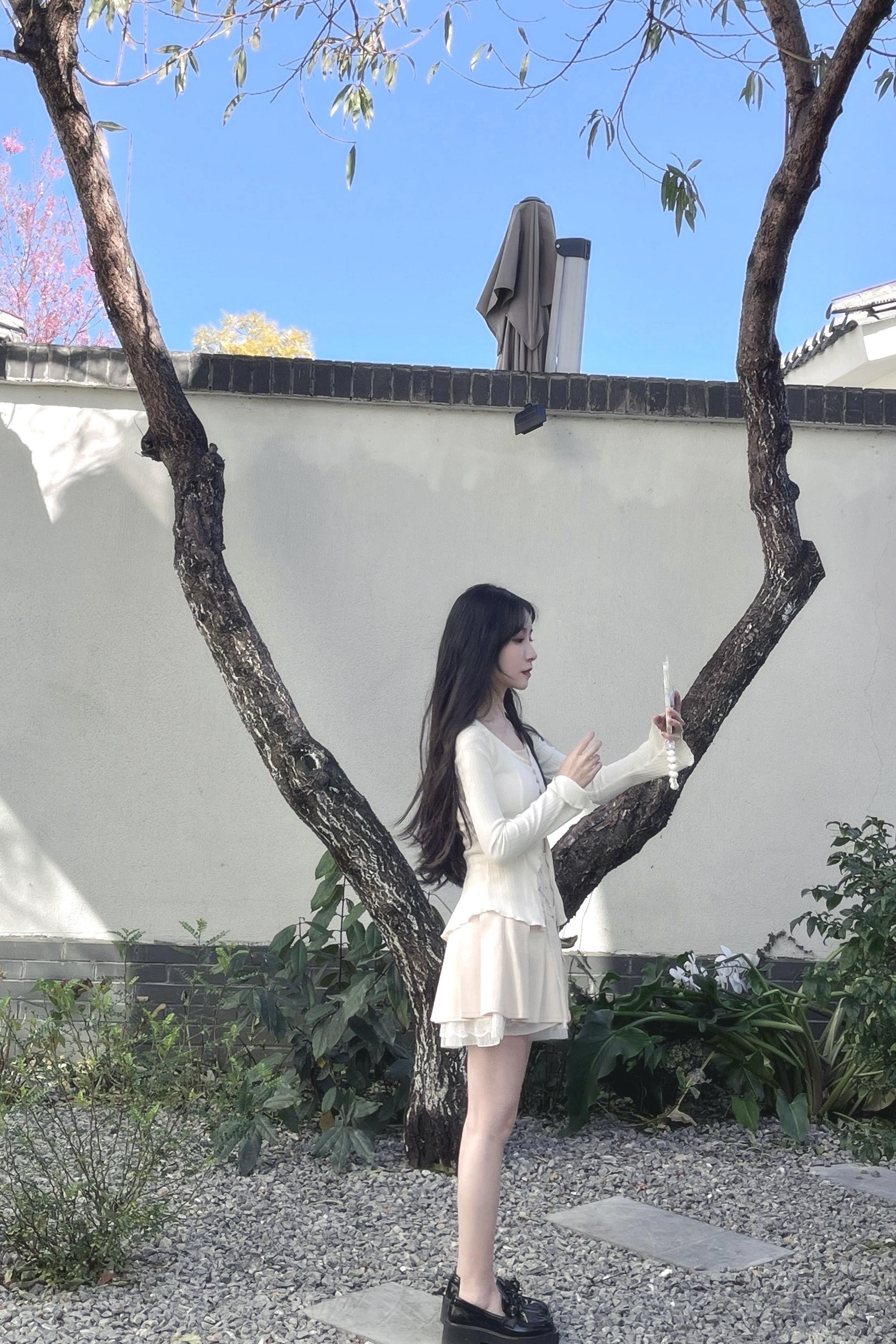 原来你不是木讷的树 只是不为我摆动枝叶