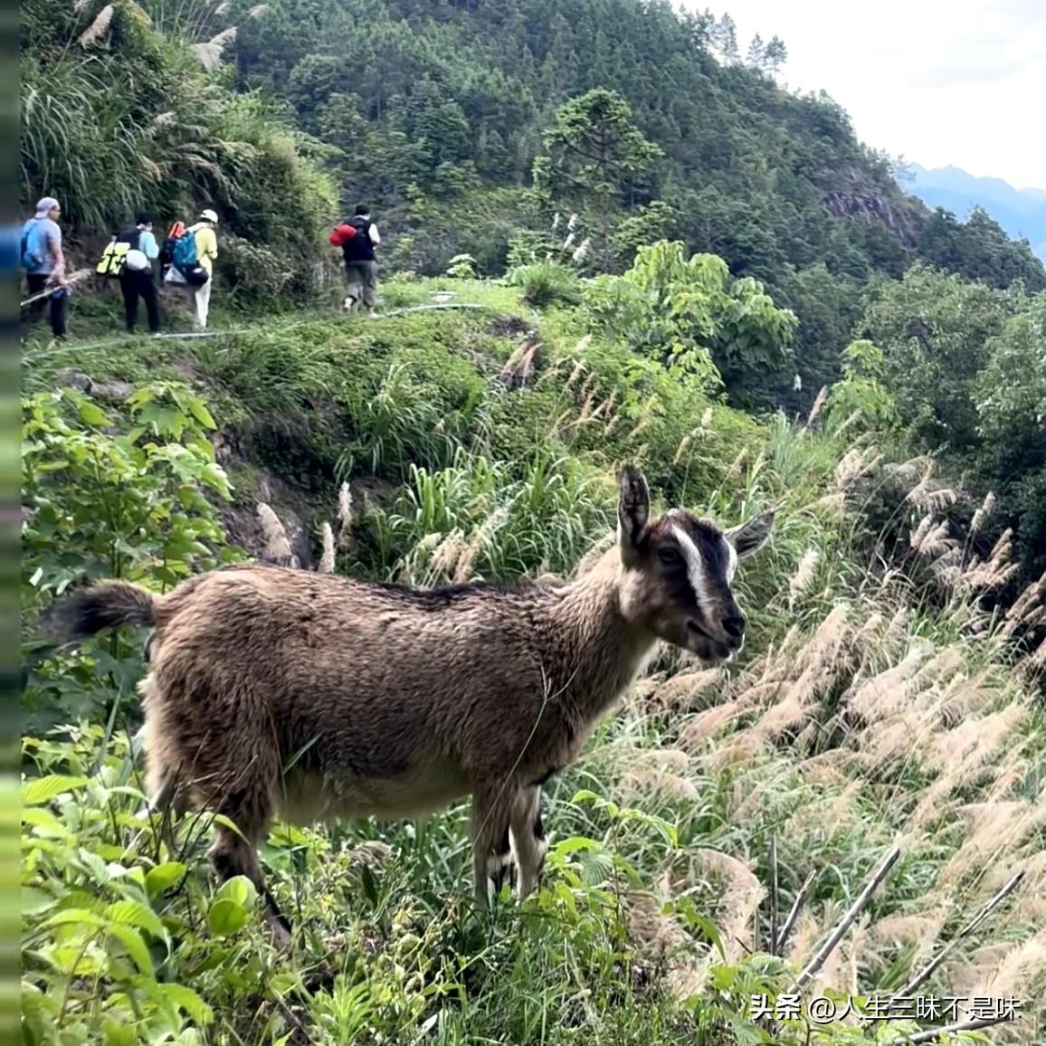 抖音上有个医生说，人一高兴，身体就会分泌快乐荷尔蒙，能杀掉身体里90%以上的癌细