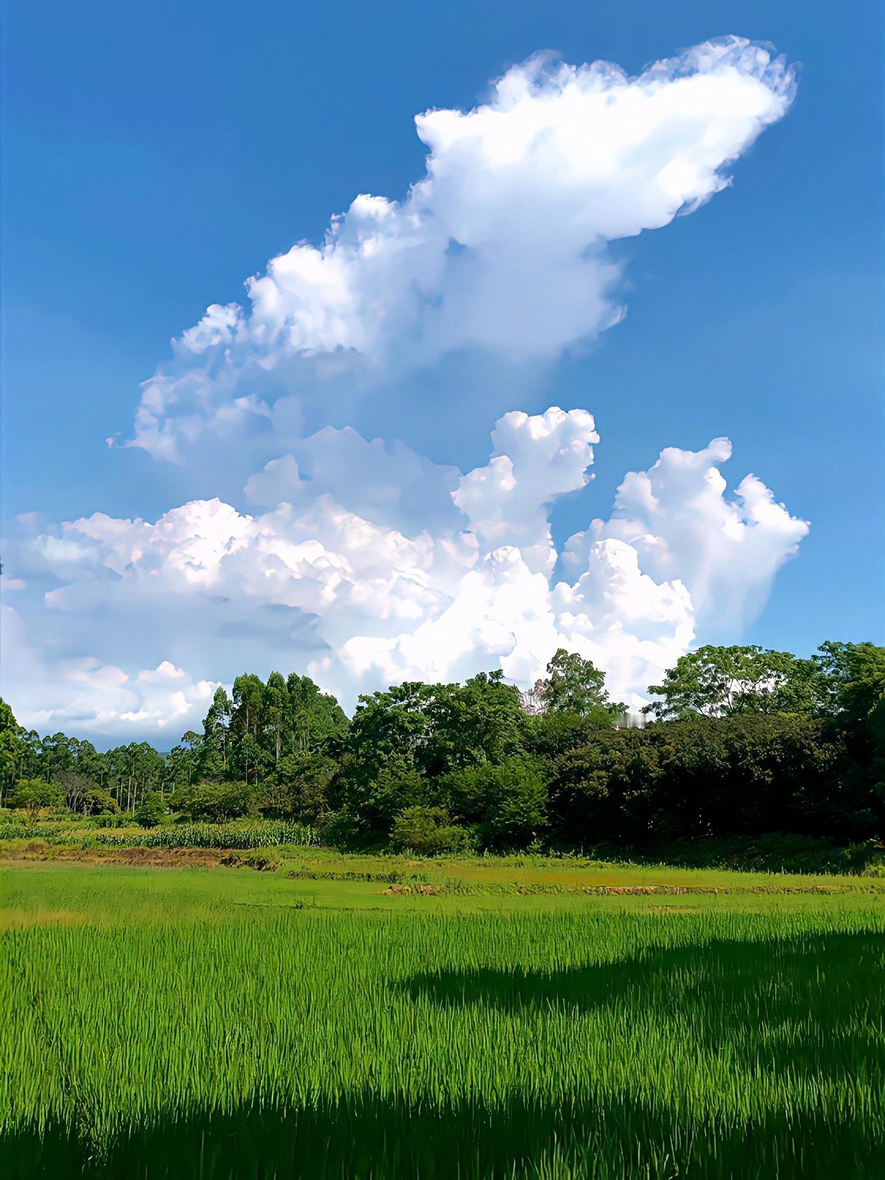 说实话，我请老师的时候，我也希望老师既便宜又好，所以当老师喊出那么高价格的时候，