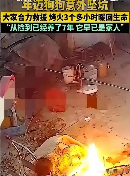 河南信阳这事儿，看得我心里直发颤。
零下几度的天，为了只“不值钱”的土狗，一家人