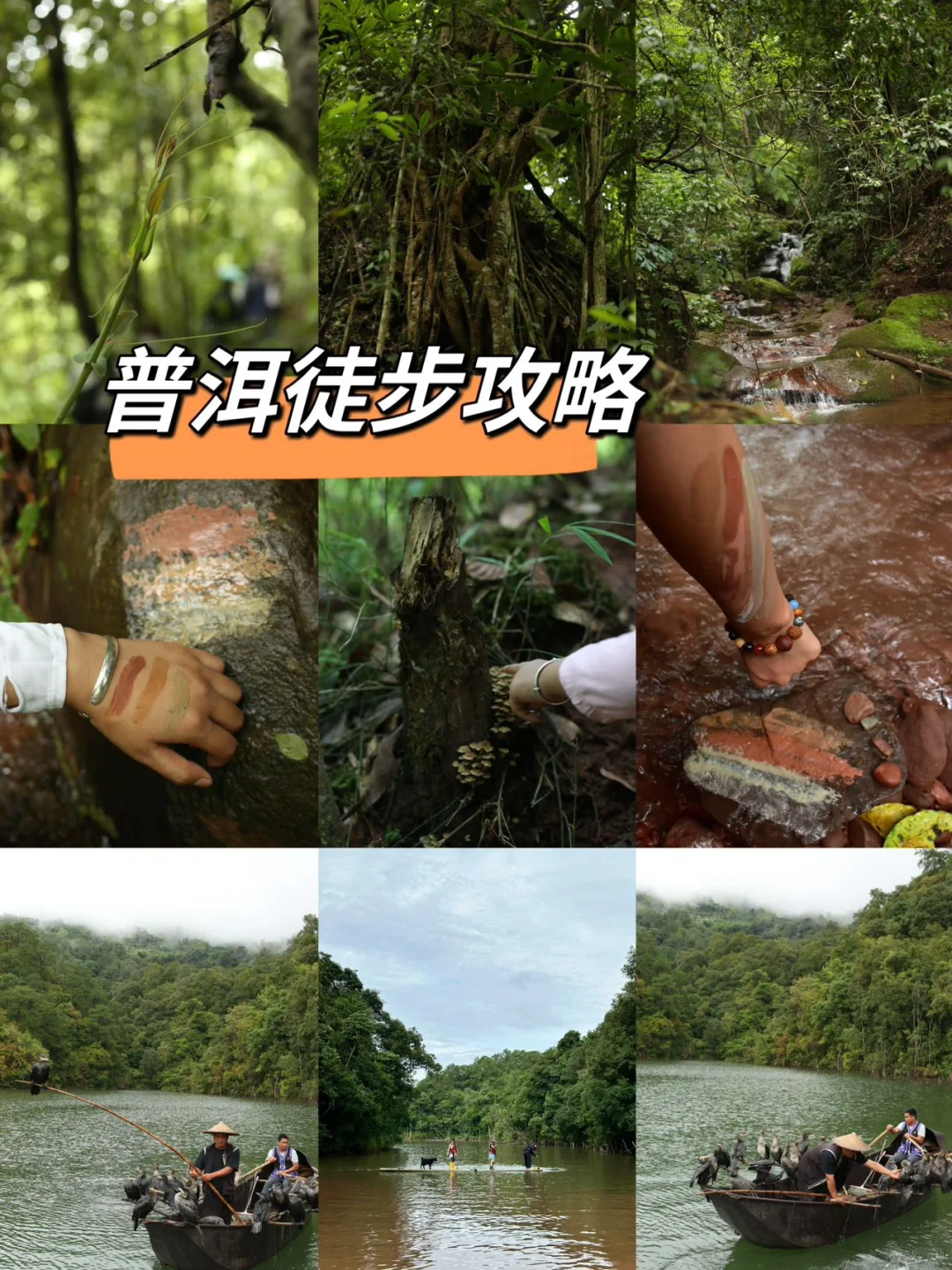 普洱一日游｜茶马古道雨林徒步攻略