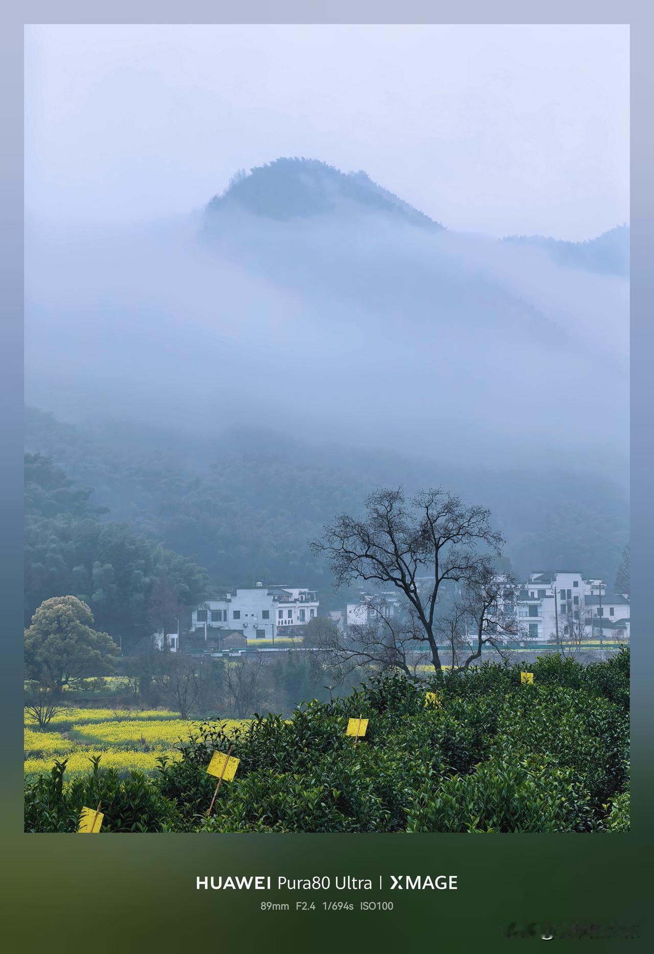 分享一张你相册里的江南照片