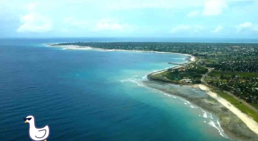 一周的时间不算长，但国家元首访问一周算是长期访问。莫桑比克共和国总统丹尼尔·弗朗