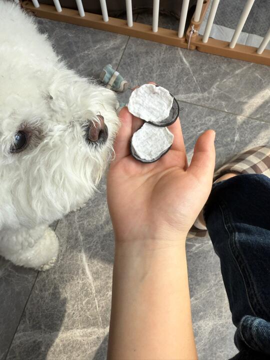 汗脚小狗的一次性鞋垫