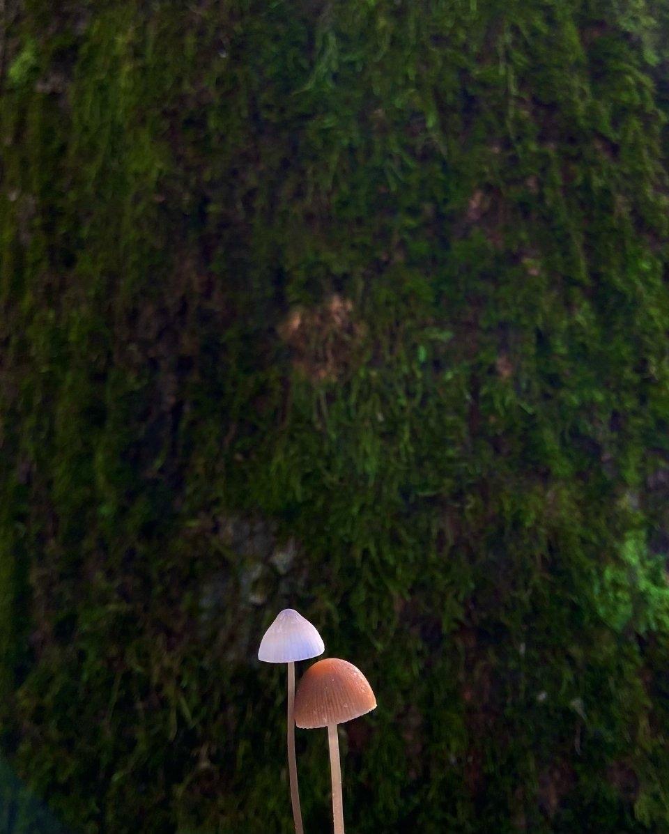 乡村角落里的秋意小美好~🍂🍁🌾🍃
.