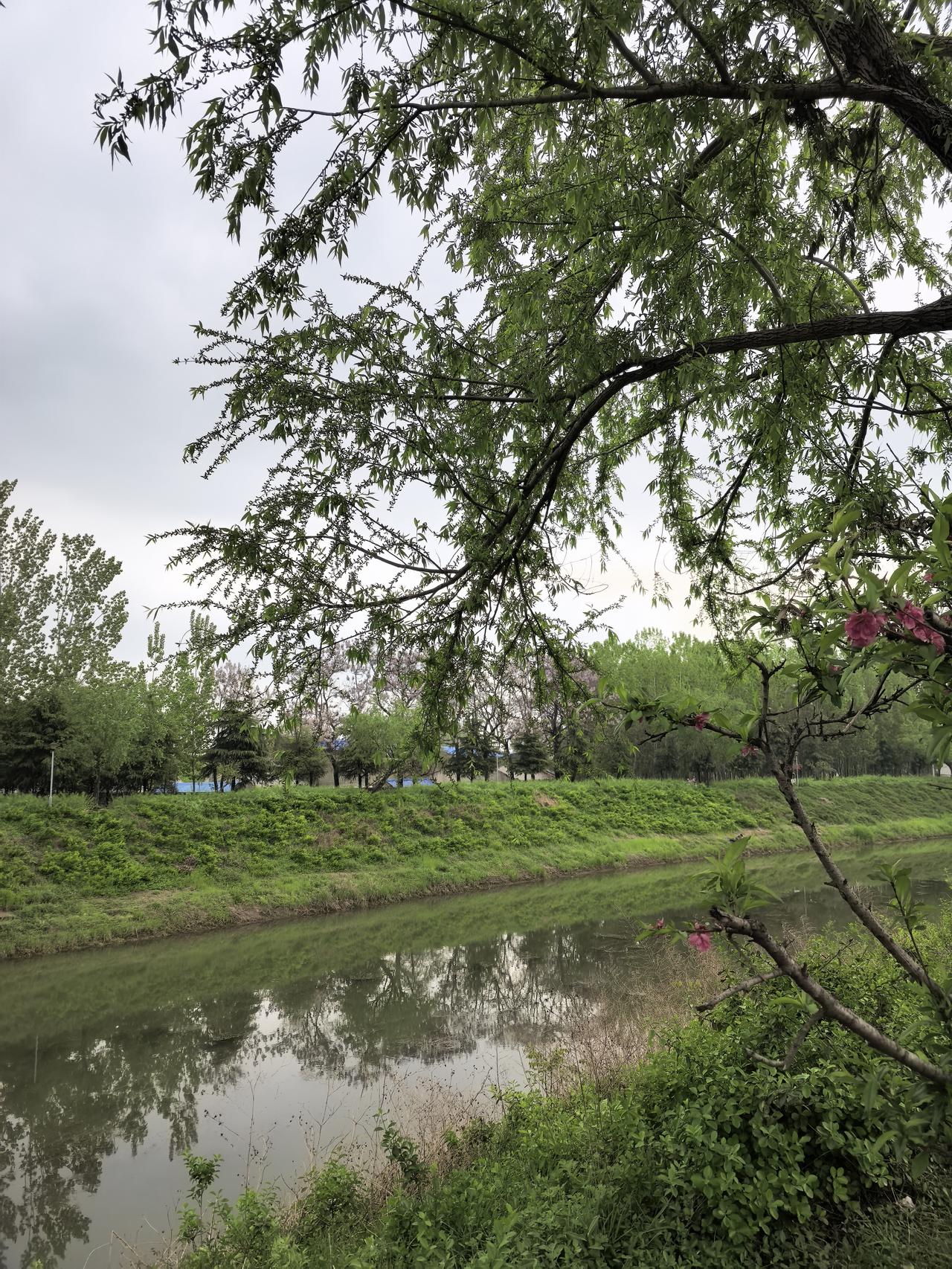 早上，用收音机听“中国之声”，其中，今日头条相关负责人接受了采访，谈到2025年