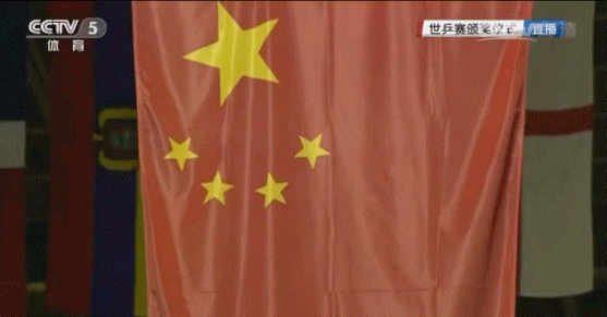 马龙最最珍视国旗的小马。 