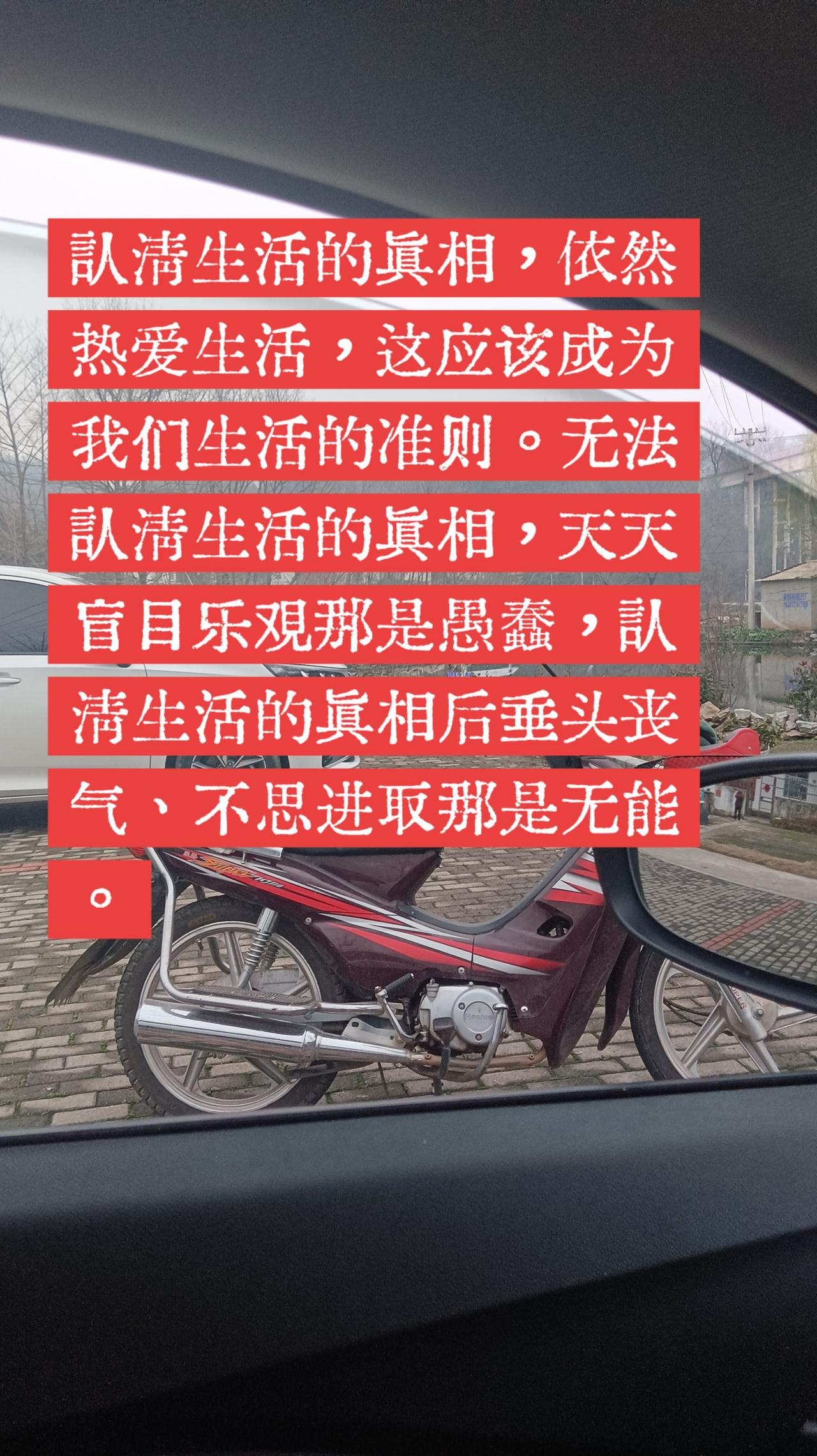 认清生活的真相，依然热爱生活。