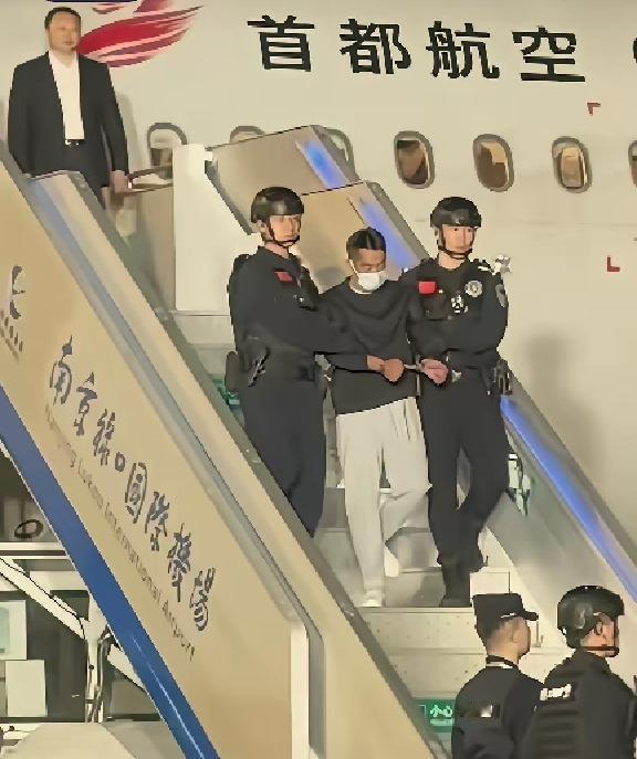 真没想到骗我们钱财最多的居然是这位同胞，涉案金额竟超过27亿元！听说他还是某燕子