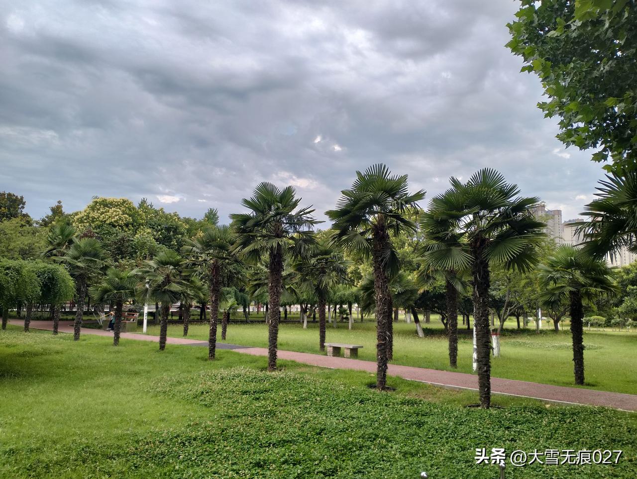 跑步🏃🏻‍♂️跑步
