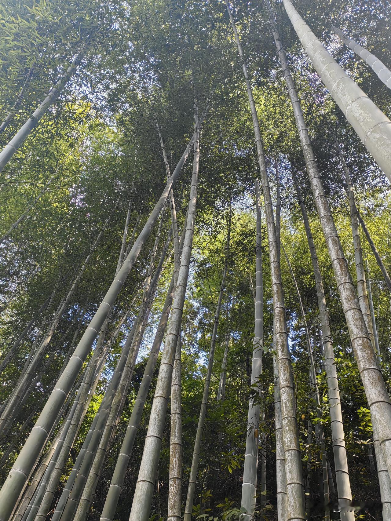 人生五福，皆靠自己修来[加油]
 
人生在世，福分从非天降，修为皆由己造。真正的