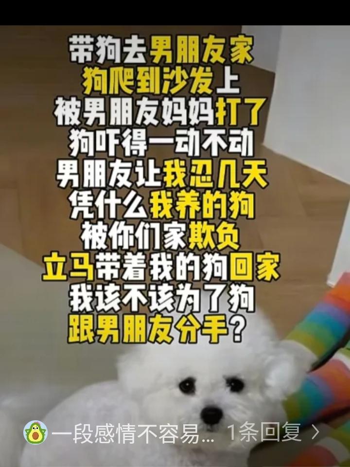 女子带狗去男朋友家，狗爬到沙发上，被他妈妈打了。狗吓得一动不动，男朋友让她忍几天