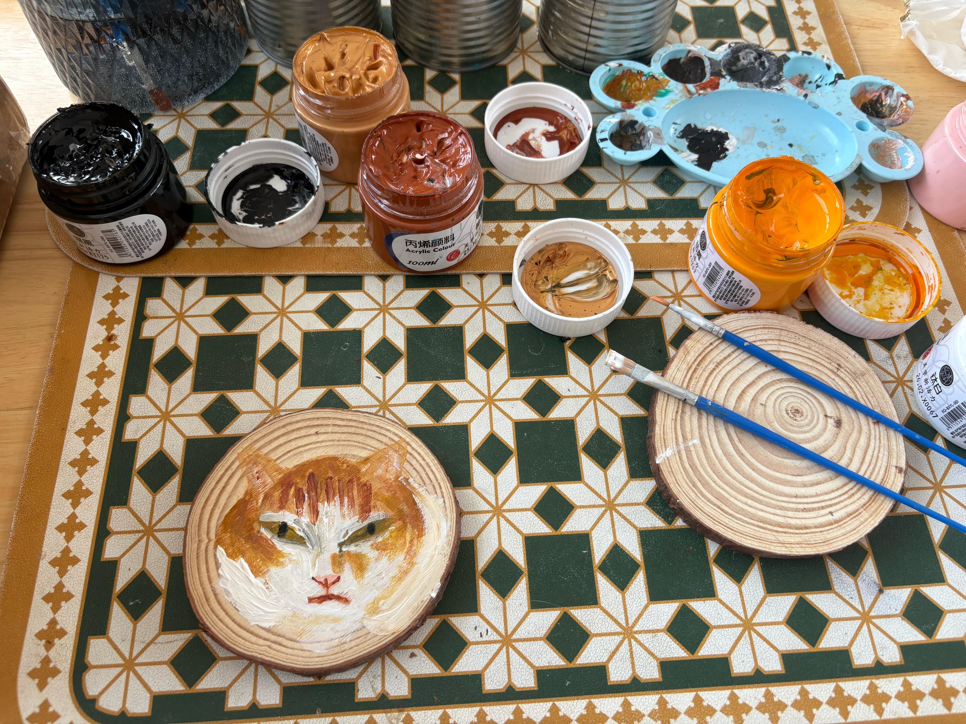 我的花园我的猫 咸蛋蛋。从小奶猫养起的淘气男猫。 