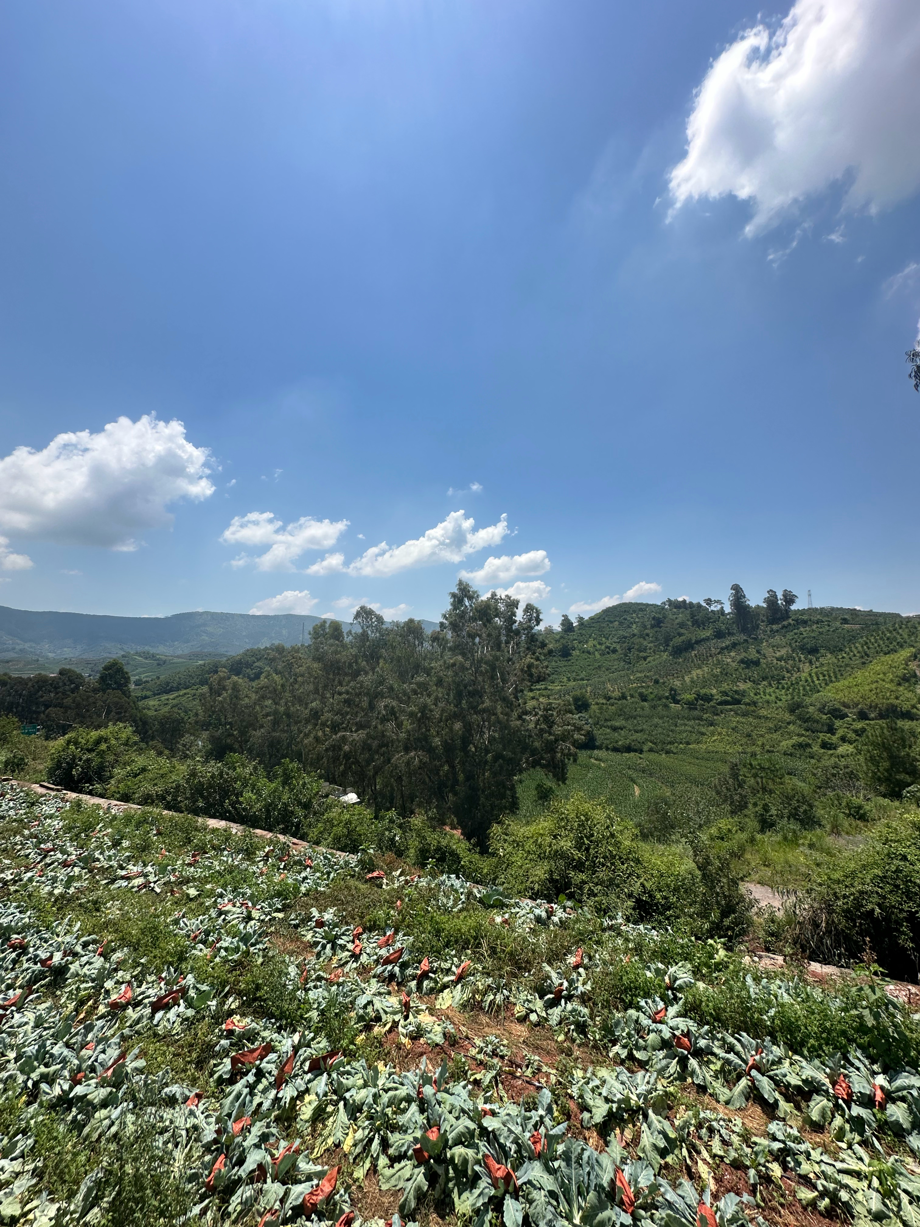 花了大半天找打包仓库，忘记发精致的午餐。 会理