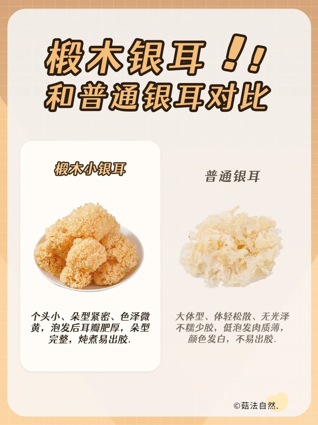 🔥椴木银耳和普通银耳的区别❓