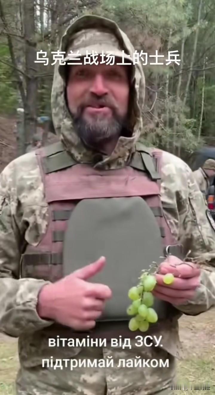 在俄乌战场的前线，还能吃上甜甜的葡萄，这是不是一种惬意？

实际上，在这样生命随