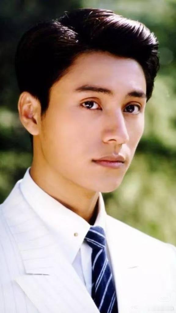 一个明星其实只要有20年鸿运就能稳住一线了，陈坤就是，他1995-2014年丁亥