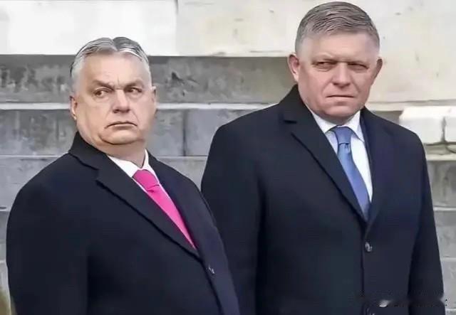 这对欧盟里的难兄难弟！菲佐威胁泽连斯基不供俄油就断电，欧尔班威胁不供俄油就100