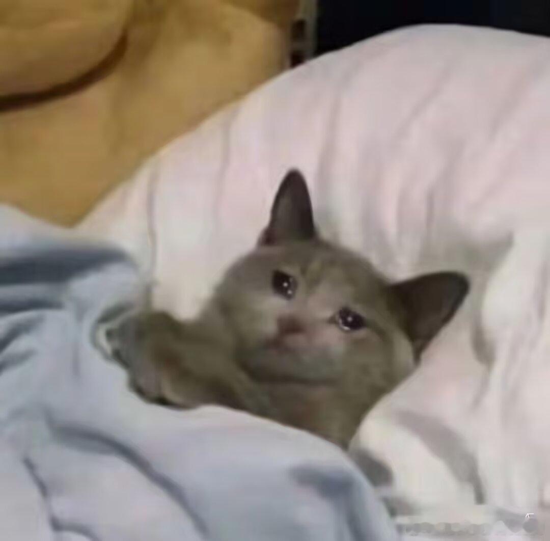 3098被窝……抱歉，刚刚又睡着了，但现在我不禁又开始想，如果人类没有被窝，那我