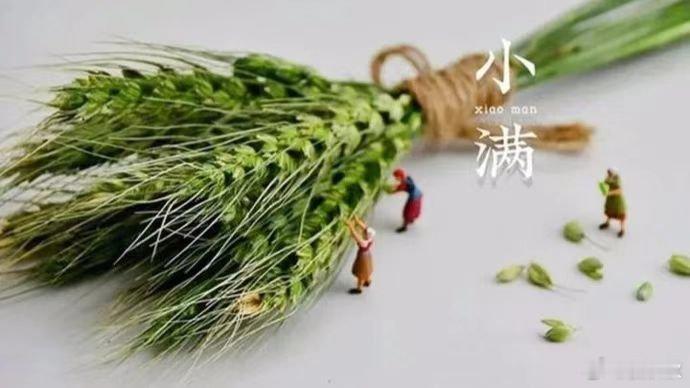 小满很难得的，断断续续，睡了7个小时。醒了，又睡了。就在半睡半醒之间，迎来了“小
