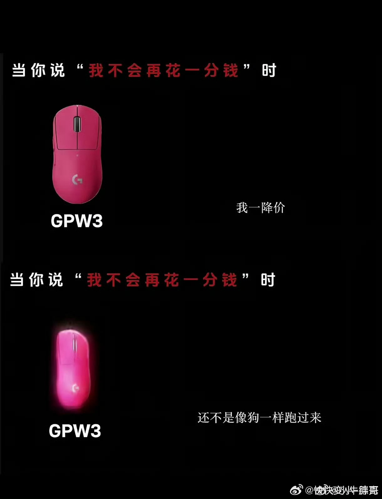 罗技侮辱消费者脑子被驴踢了吧？ 