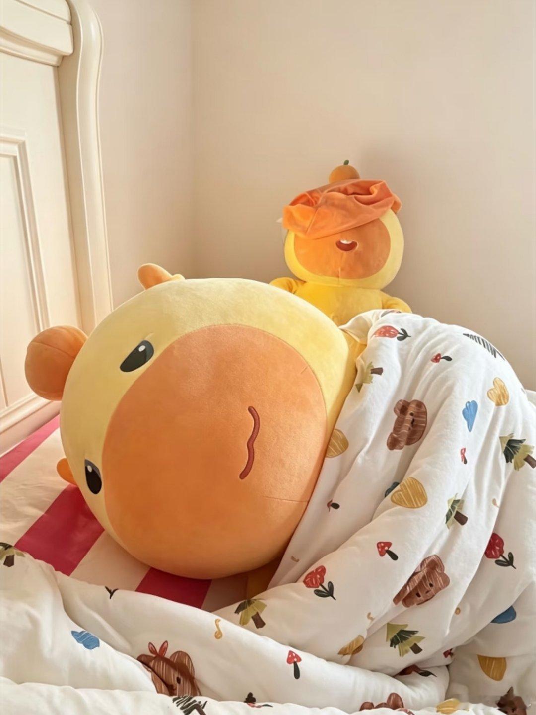 本噜还是被抓了 哈哈哈哈哈 