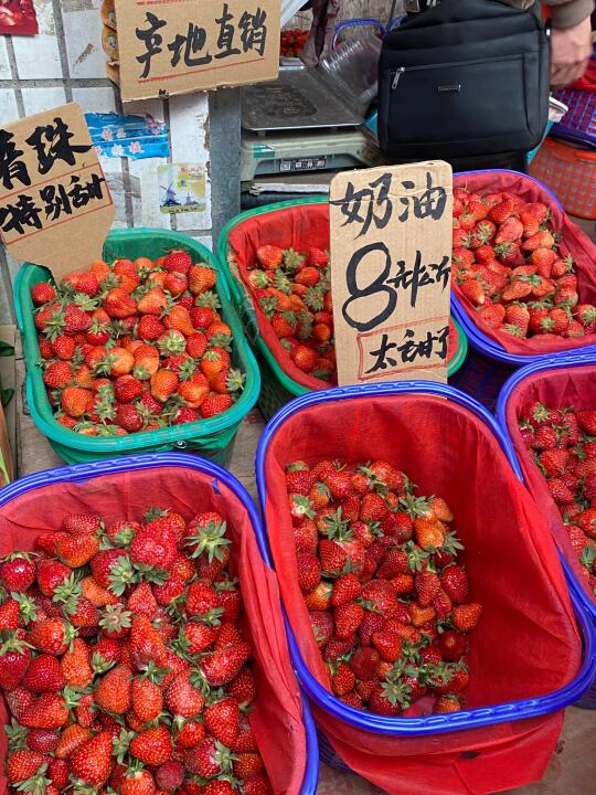 昆明的物价都这么离谱吗！！！！