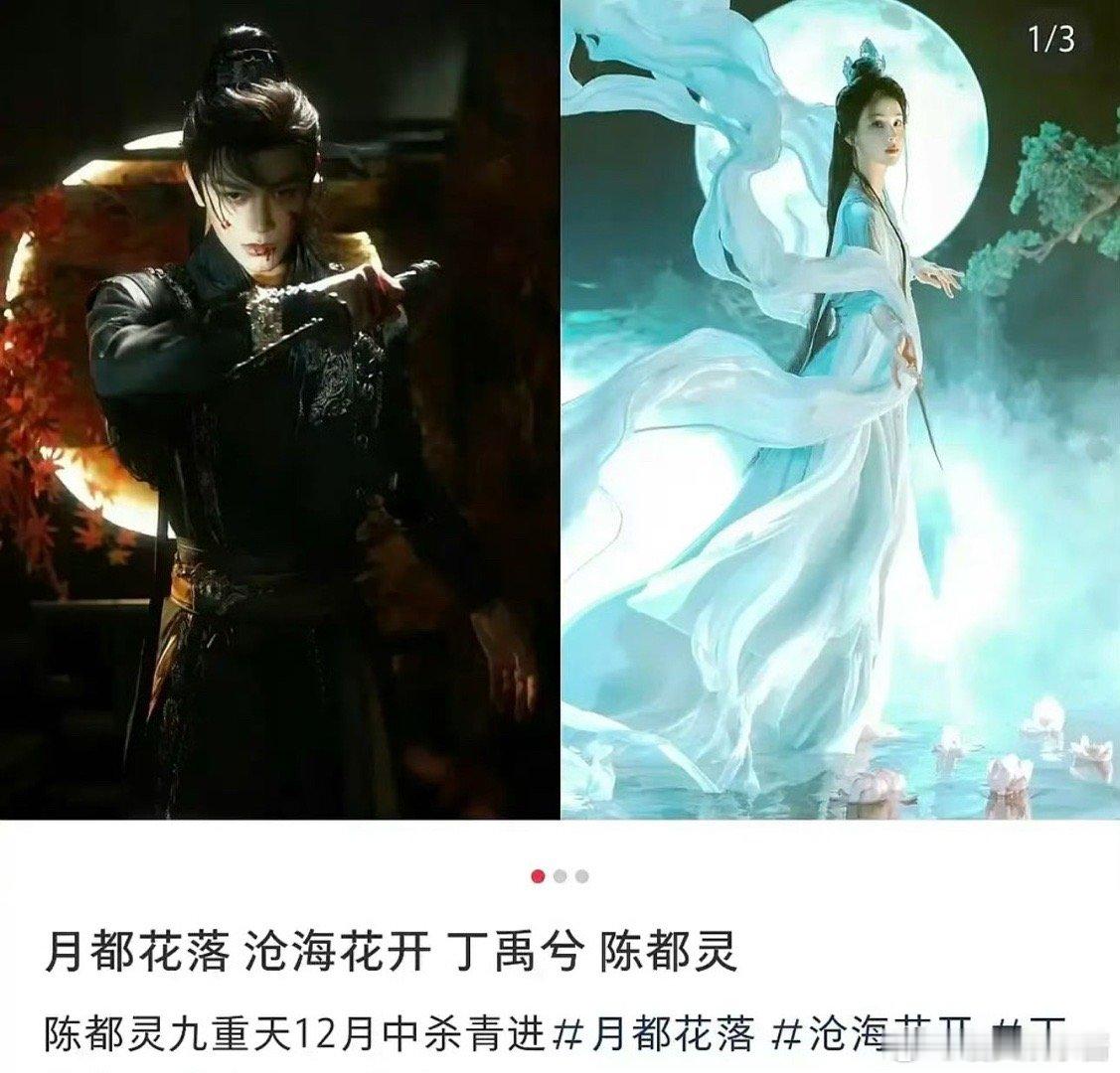 月都花落🍉丁禹兮、陈都灵，期待值如何 