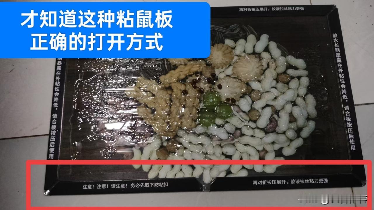 我被家里的老鼠给整emo了……今天换了张新买的加大加厚粘鼠板，才发现这种带扣的，