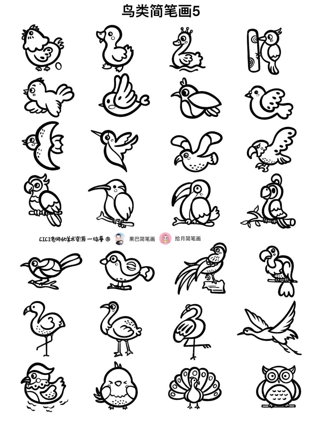 鸟类简笔画5