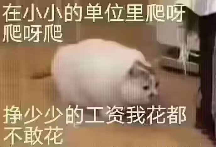 爬行 ​​​