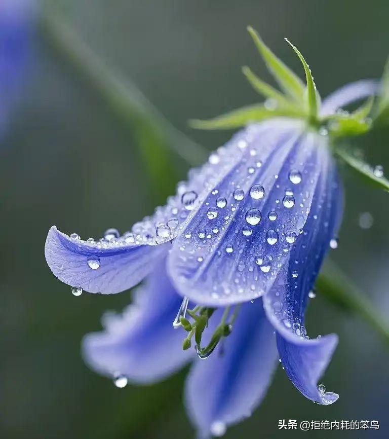 郑州预报的明天有暴雨，学生已通知明天不去上学了！明天早上的航班能准时吗？

老师