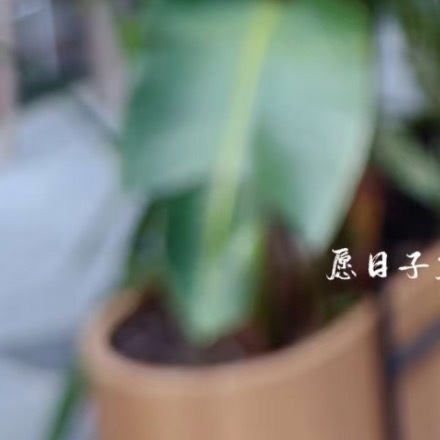 每日一善  0000冰块社交恐惧症严重，一出门没多久，就紧张到浑身冒汗融化跑路 