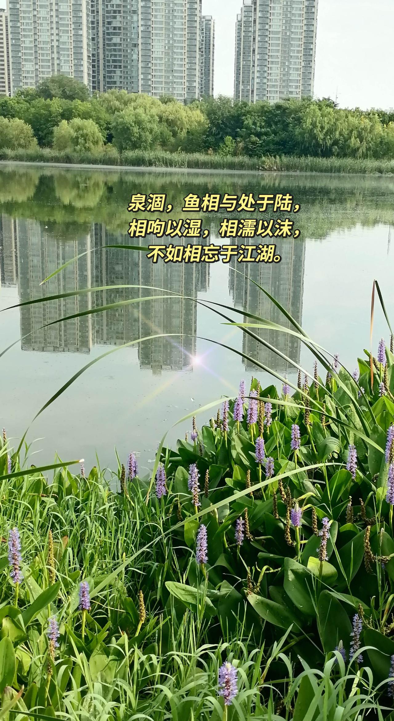 江湖一词，来自何处？最早出自《庄子·大宗师》：
 
泉涸，鱼相与处于陆，相呴以湿