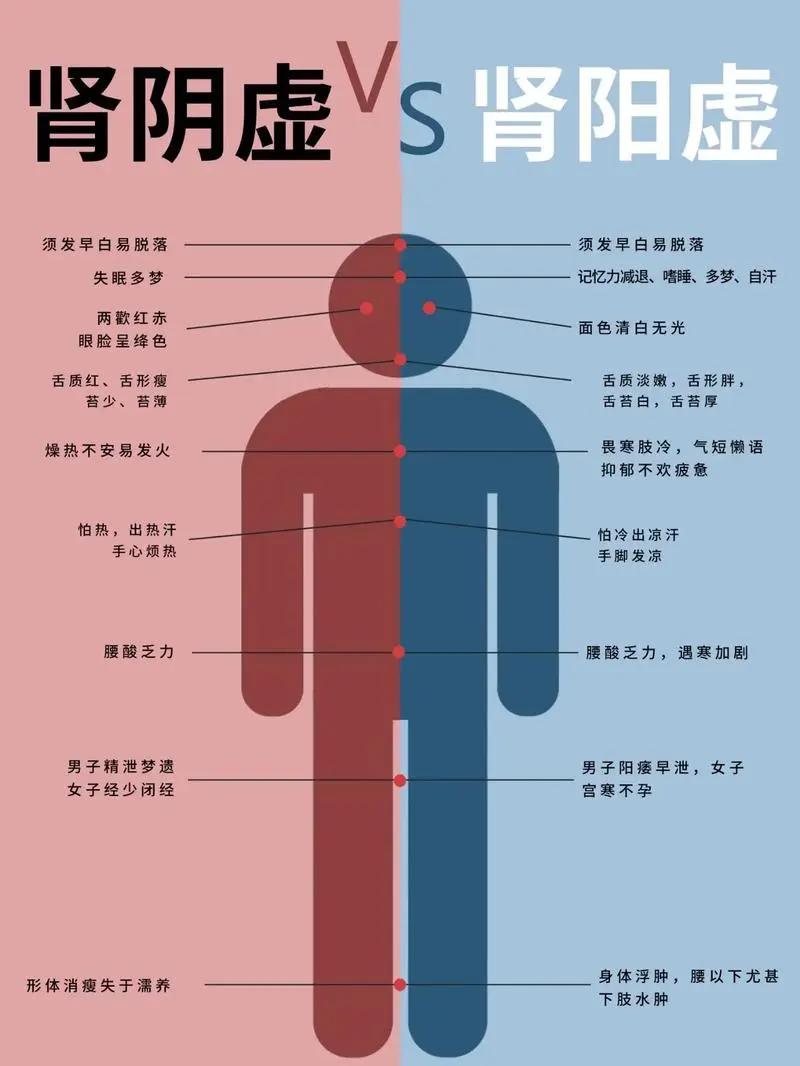肾虚分5种，分享10种补到骨子里的中成药
1.肾精亏虚：神疲乏力，脉细无力，没想