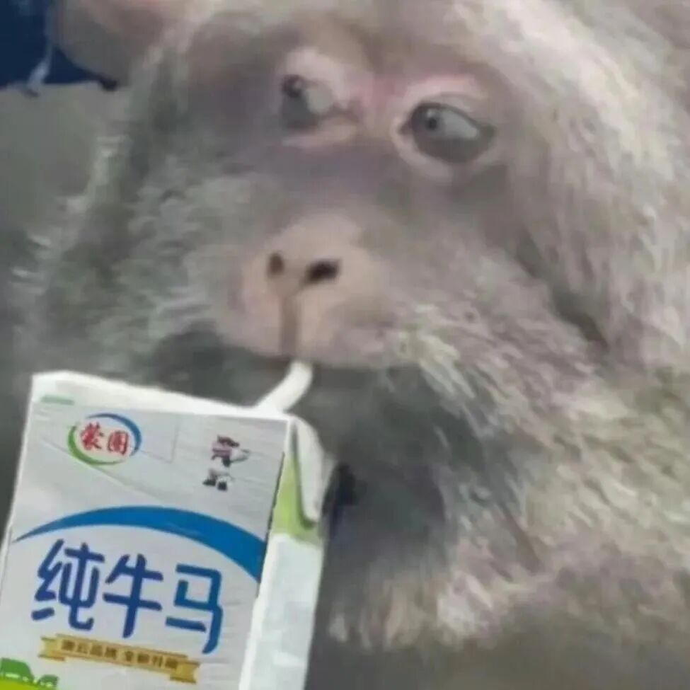 Alice的碎碎念 干嘛！停个电没完没了了是吧！把人当什么了