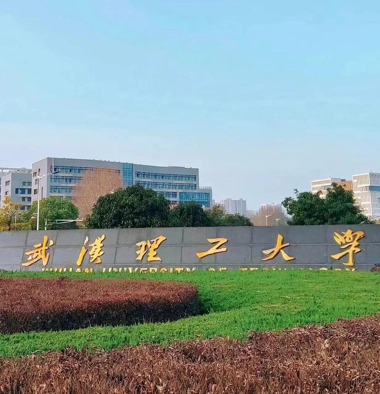 武汉除武大、华科外，还有5所教育部直属211/双一流大学：

武汉理工大学（材料