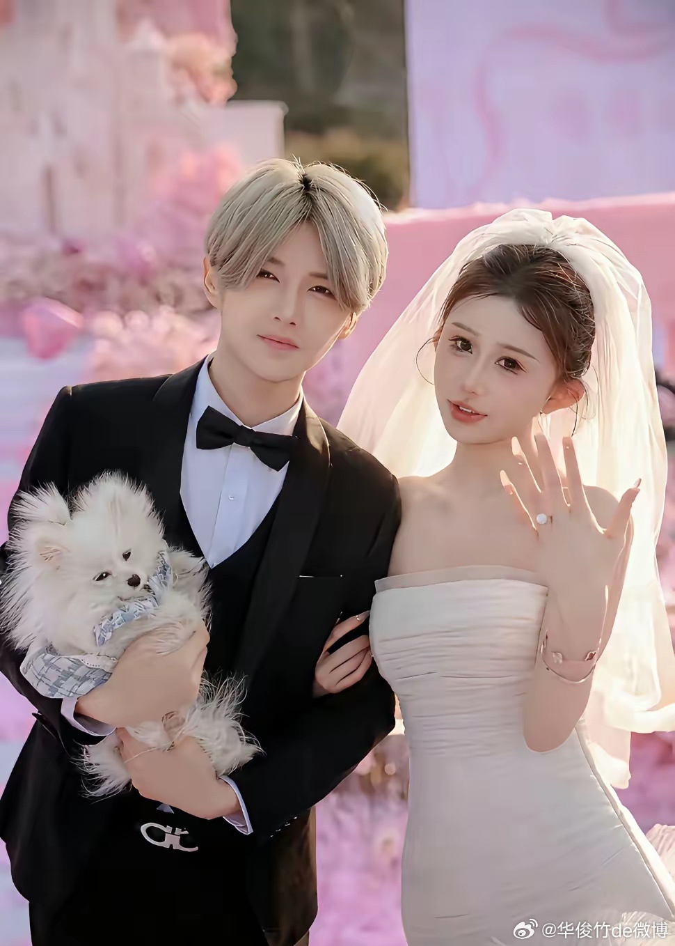 鹿哈赔偿不了一点，他和三只羊还不一样，三只羊是自己的供应链出问题，鹿哈卖的是供应